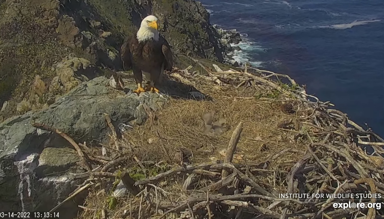 8B75F13B-6B32-4A68-91A9-7A5172CCA92D