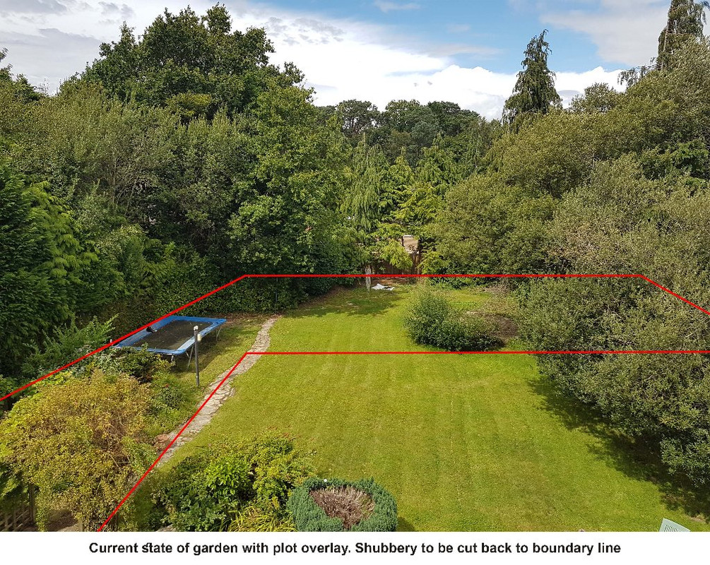 Current state of garden with plot outline (s)