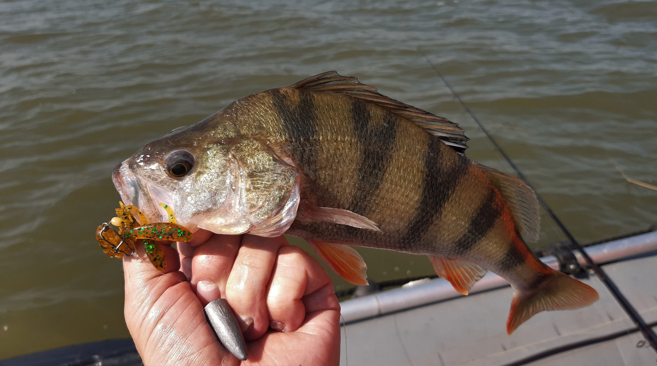 20210901_100912 — копия