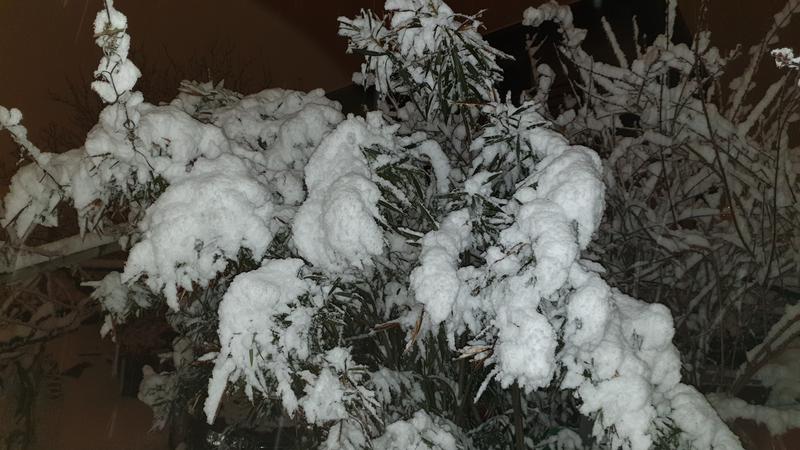 20190127_214628