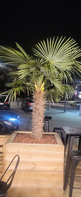 1743197733177634997352231636997