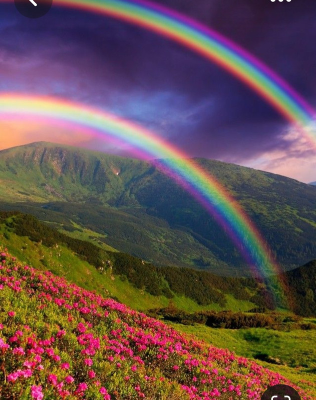 Screenshot_20230429_012936_Pinterest