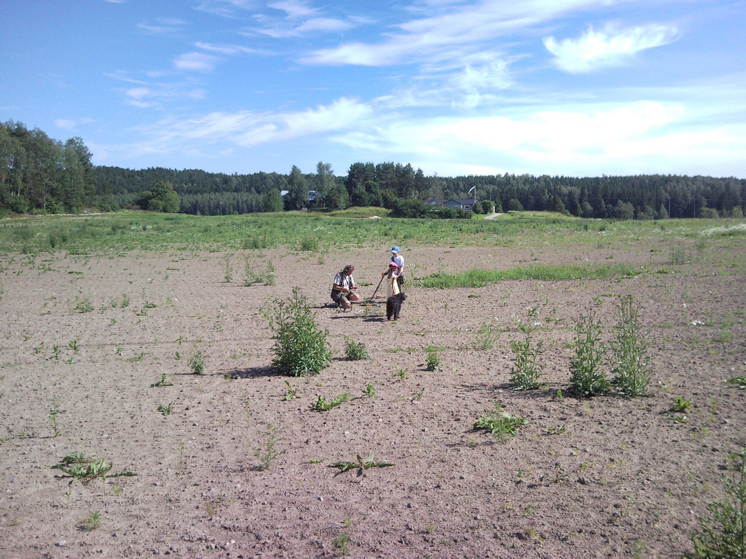 2014-07-05 - metallinetsijöitä Kemiössä