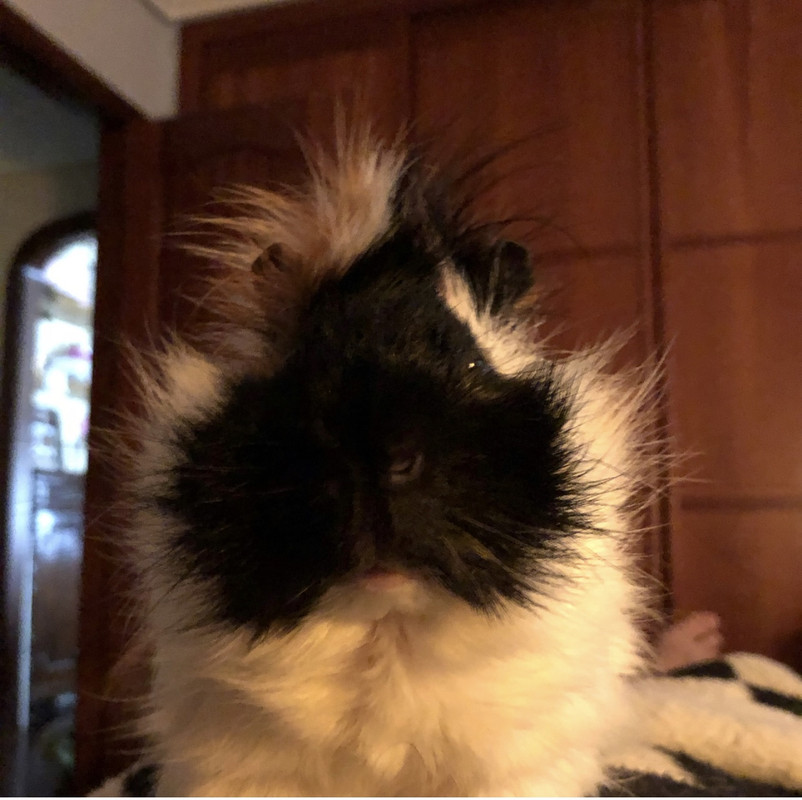 120BB5FC-0CD7-4F14-8304-32232D74347A