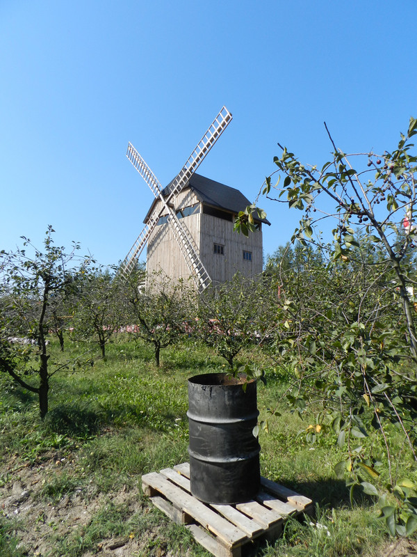 17.38 - DSCN7199 (Milady)