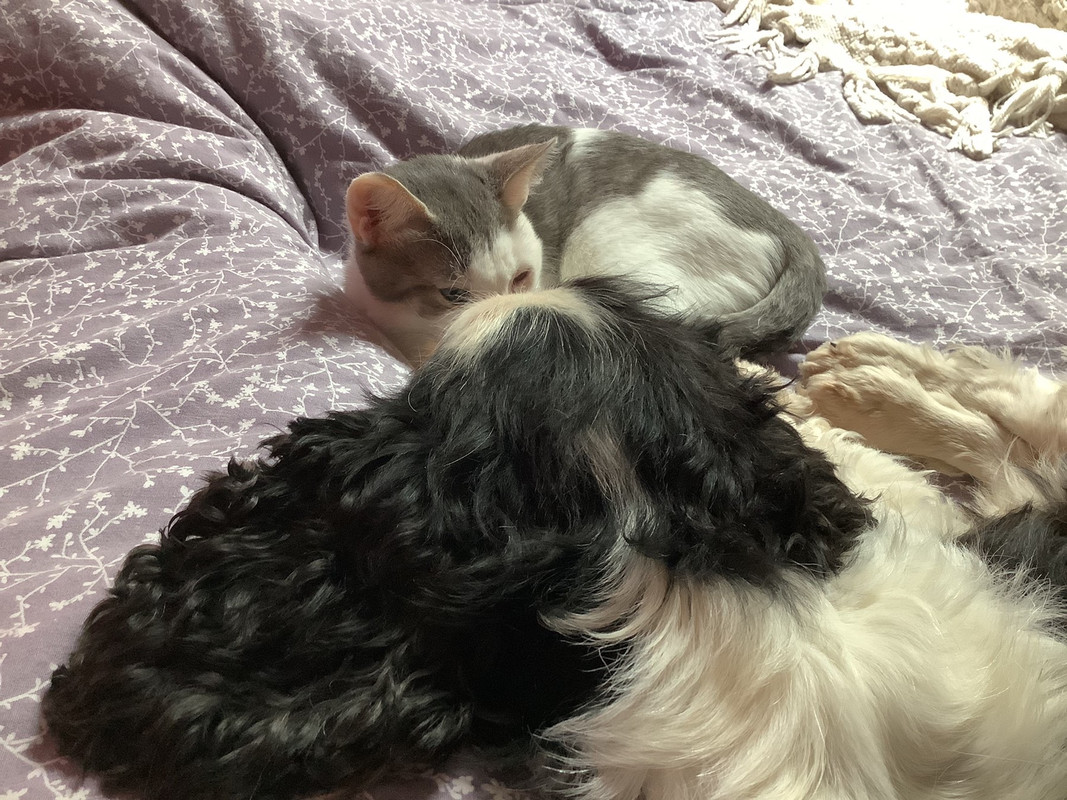 9F3AB43A-FC97-4051-9298-7EB129413D94