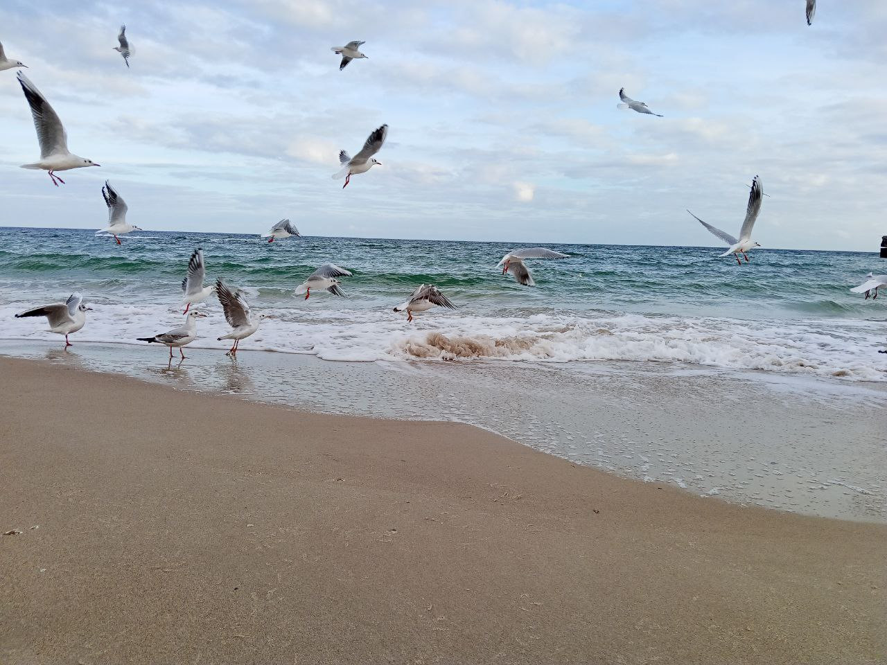 photo 2025 11 25 19 10 28