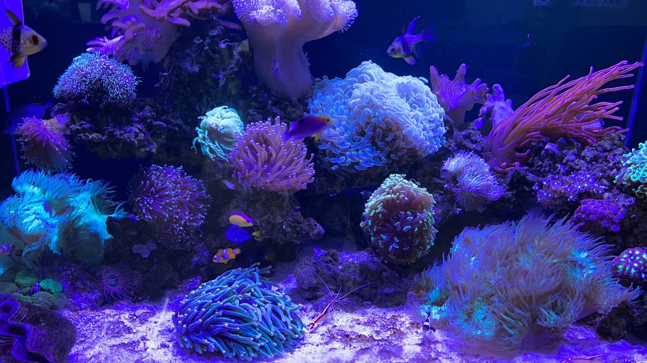 thumbnail_922CC7B8-60B4-4BFC-8574-5249F147715F