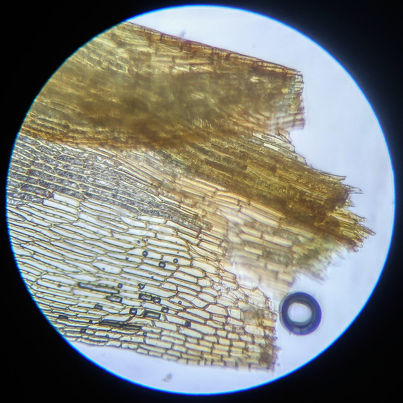 IMG 20250614 112059 HDR