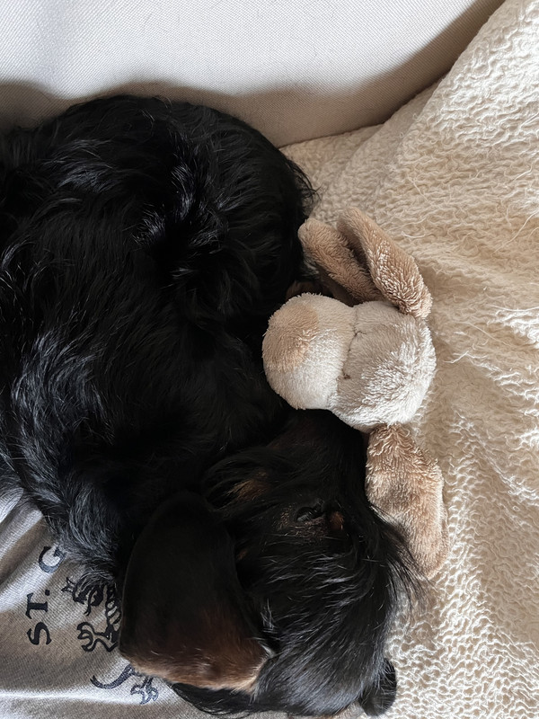 [Image: IMG-3750.jpg]