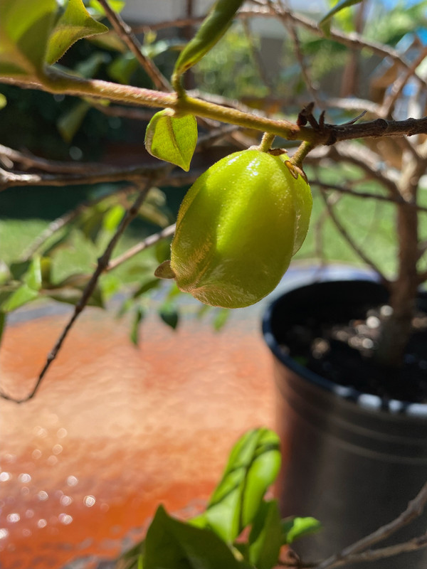 9FBC95E1-D692-45C9-AD0E-5AC2DED5FD8A