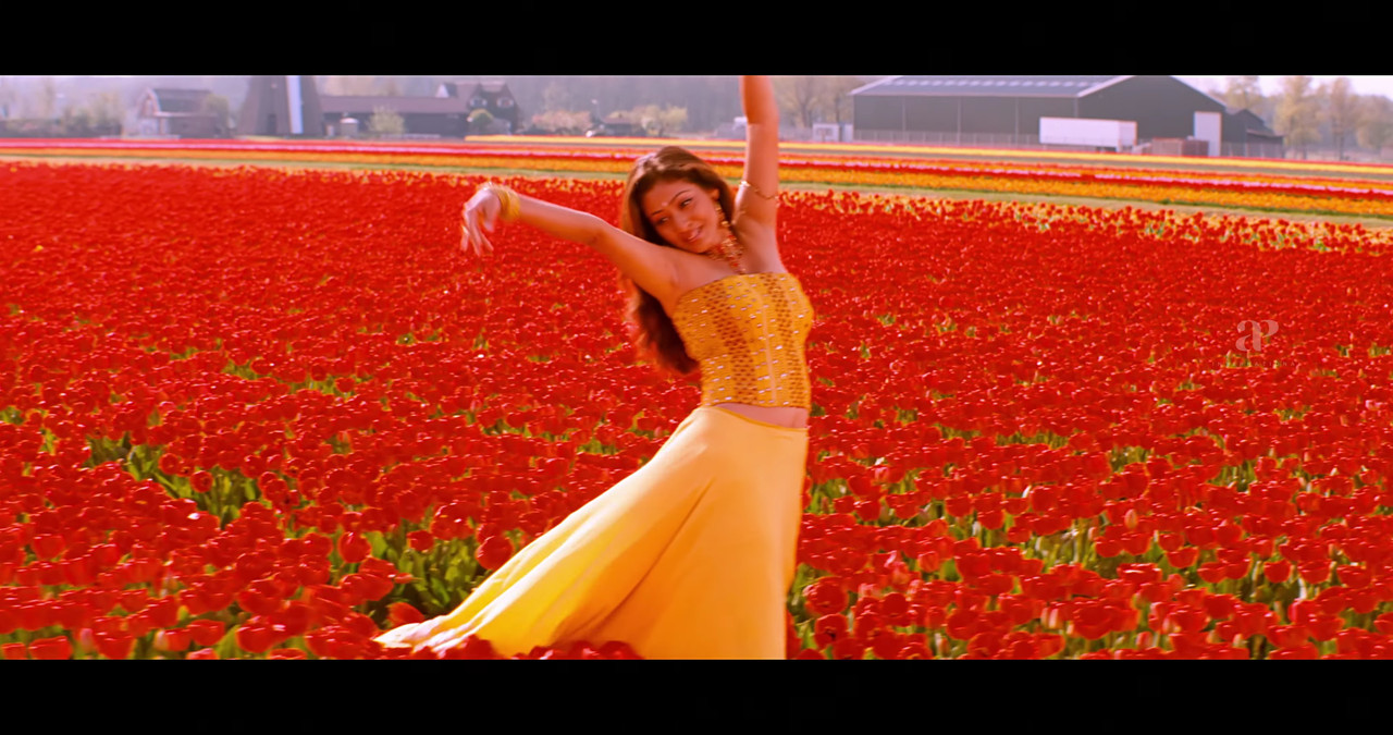 VideoCapture_20241122-200414