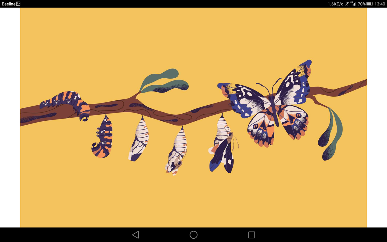 Screenshot_2023-08-19-13-40-43