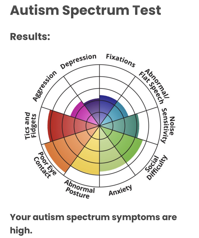 autism/not diagnosed, tested high symptoms during medical test