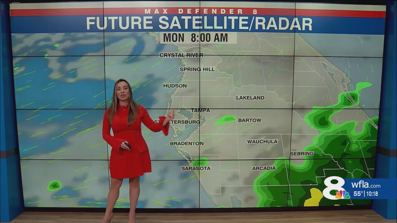 NewsChannel 8 News at 1000pm_20250222_03000330.ts_snapshot_18.57.110