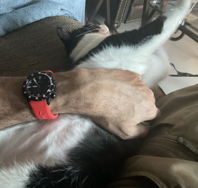 906E486F-A1D1-42FE-88B1-EB695108DF74