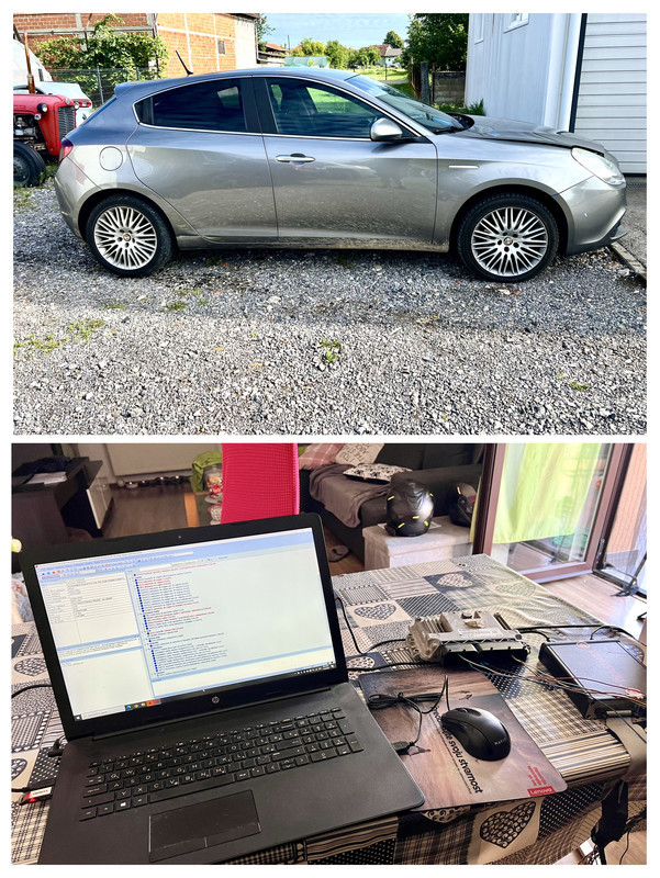 FDB146F5-A15E-4E1E-AB55-88CE12028AEE-COLLAGE