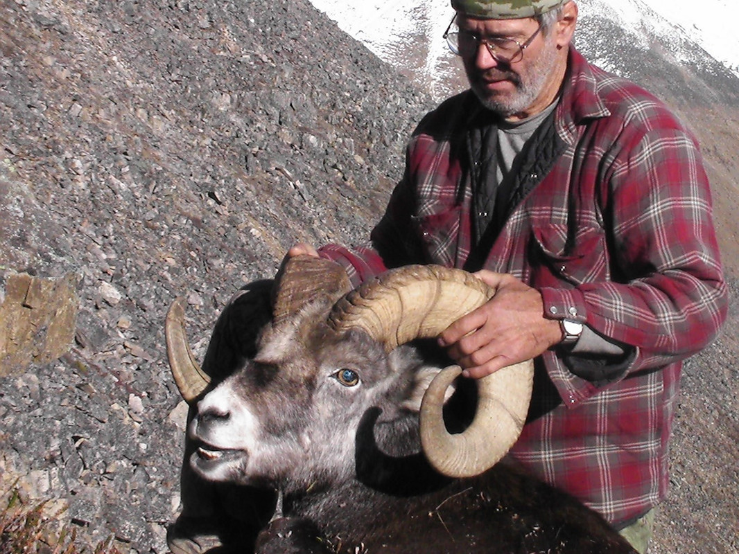 2010 my sheep dad closeup