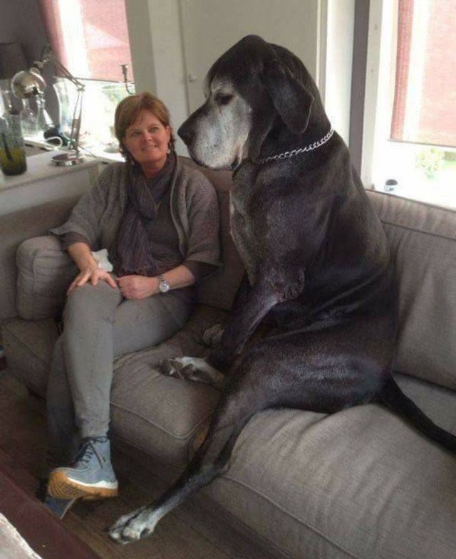 Gigante-3