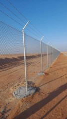 شبوك في الاحساء