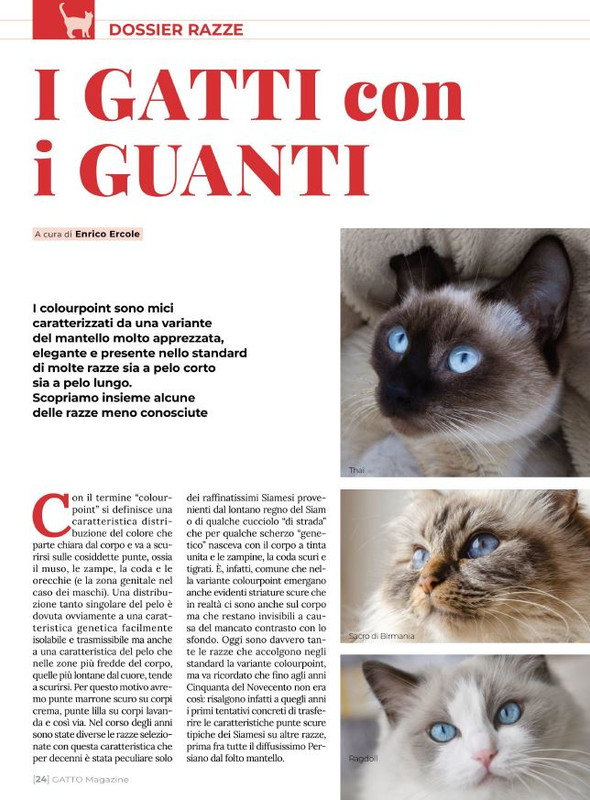 Ga Ma Feb-Mar 2022 (3)