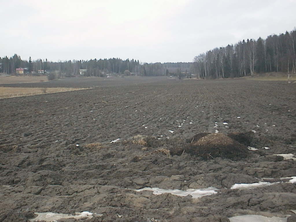 2016 keväänmiittin,pelto 002