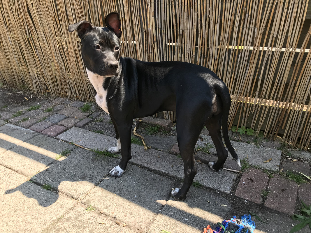 C3085E58-7A44-4705-A53A-990FE091C3F1