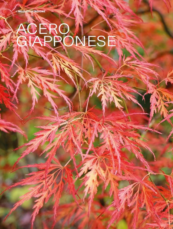 Il Mio Giar Ott-Nov 2024 (1)