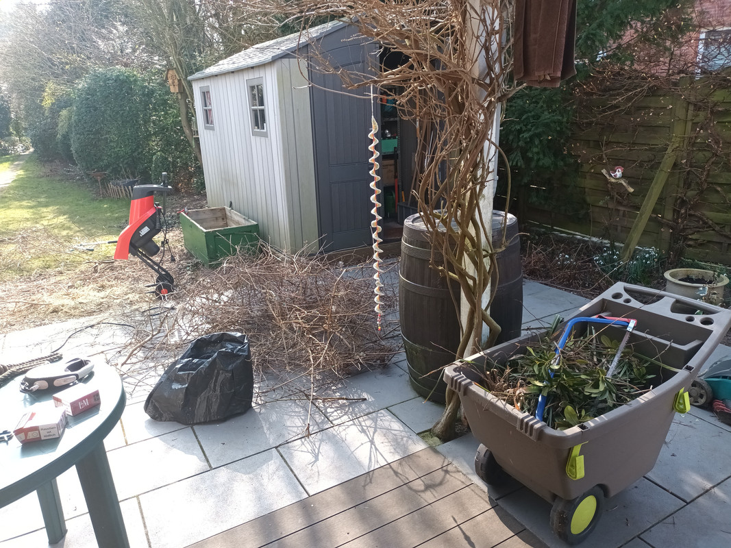 Externes Bild, es gelten die Datenschutz- und Nutzungsbestimmungen der ausgewählten Seite.