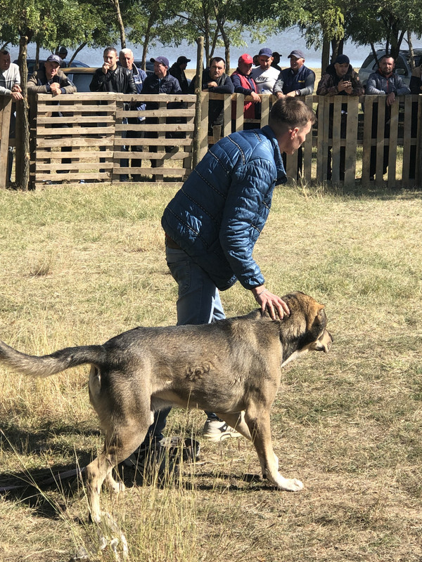 97EF21AE-A492-490E-89E4-622B39986E63