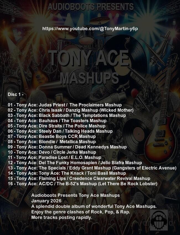 tony-ace-mashups-back1.jpg