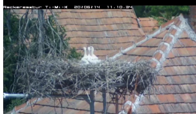 2020-06-14_123233nagyon várjál