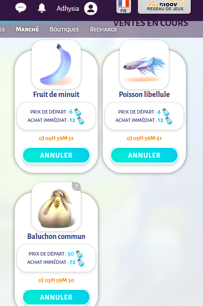 https://i.postimg.cc/VNBYTwJK/marche-11-08.png
