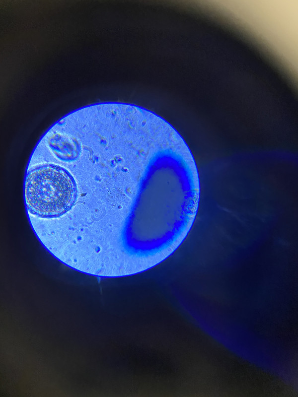 4DC5E460-11FB-4CBF-92E0-6FDD23DB1C62