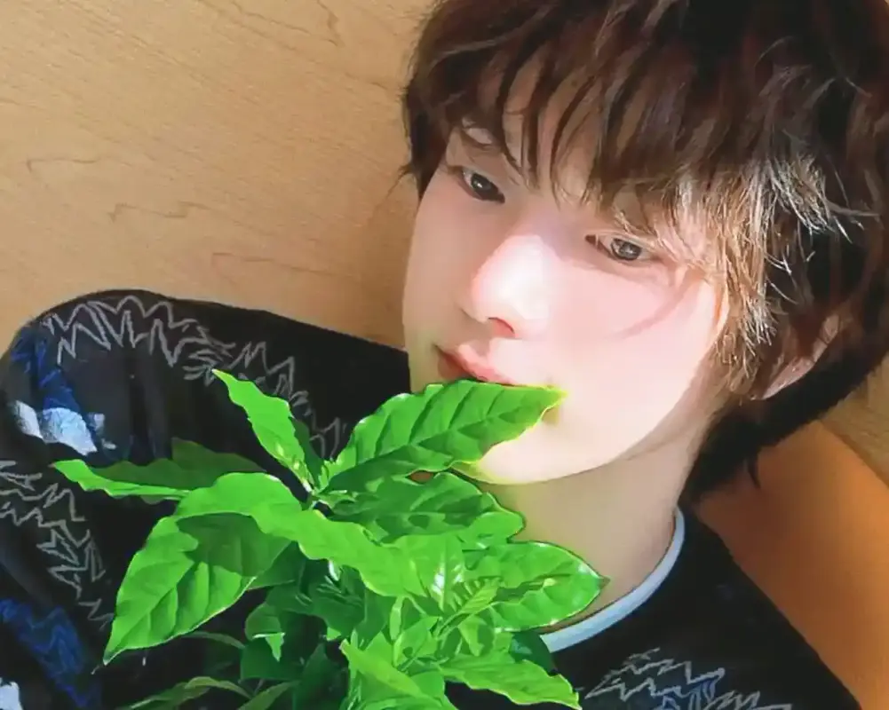 20250510_042536_copy_1230x983