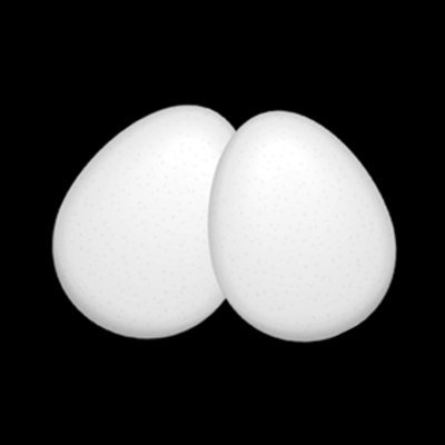 Egg Image