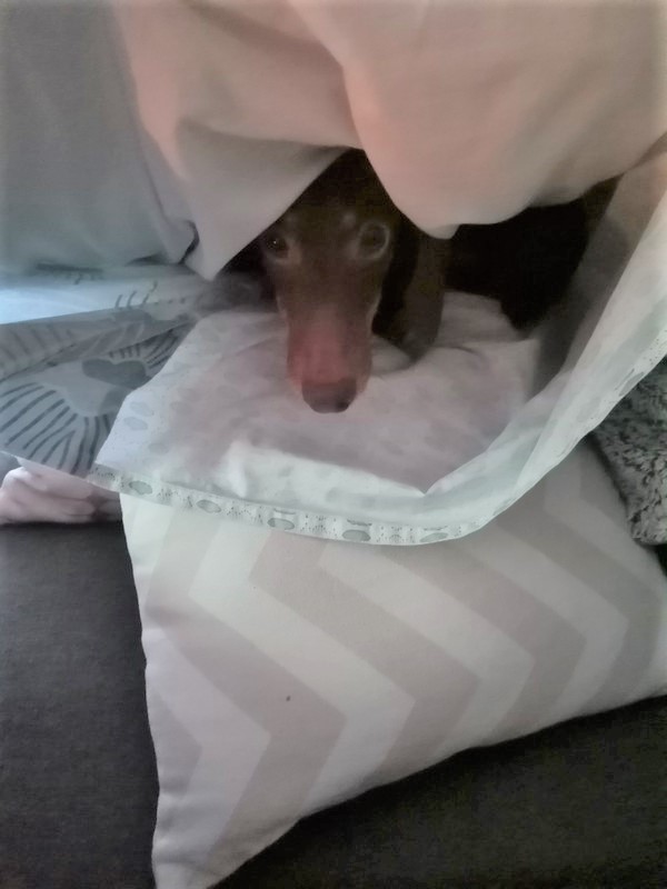 [Image: IMG-20230610-202229.jpg]