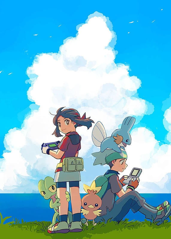 may-brendan-torchic-mudkip-and-treecko-p