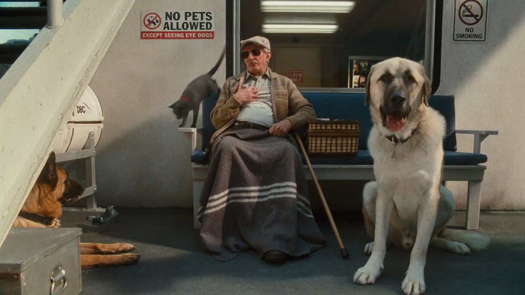 vlcsnap-2024-08-29-10h51m29s067