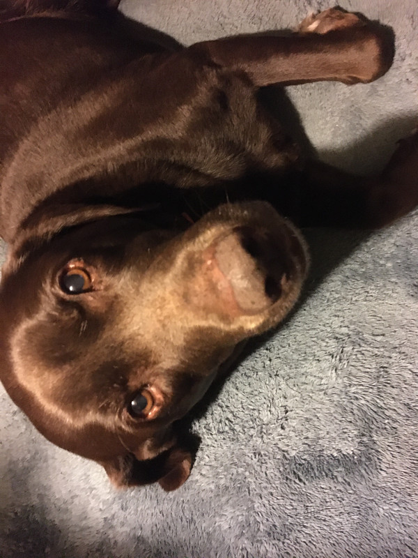 150A7E74-90C8-49C2-9A6D-FE1844840112