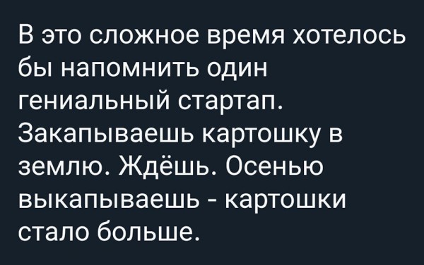 Картошка -- стартап