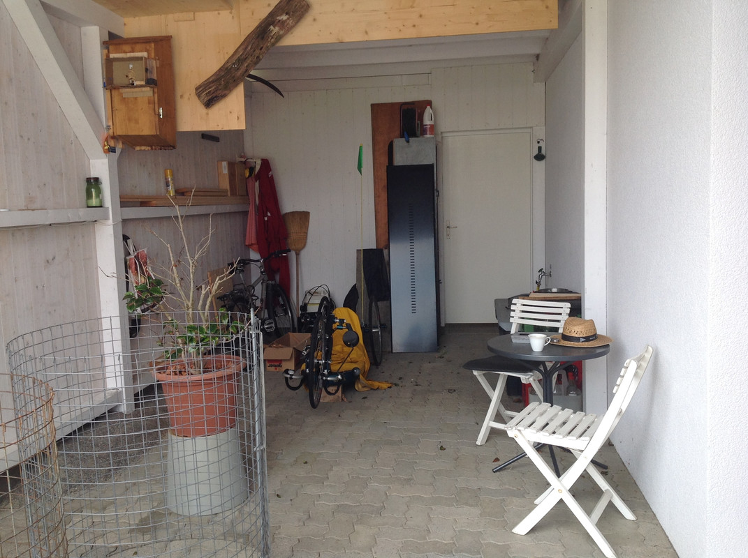 Vespa crabro germana 4. Sept 2015  (7)