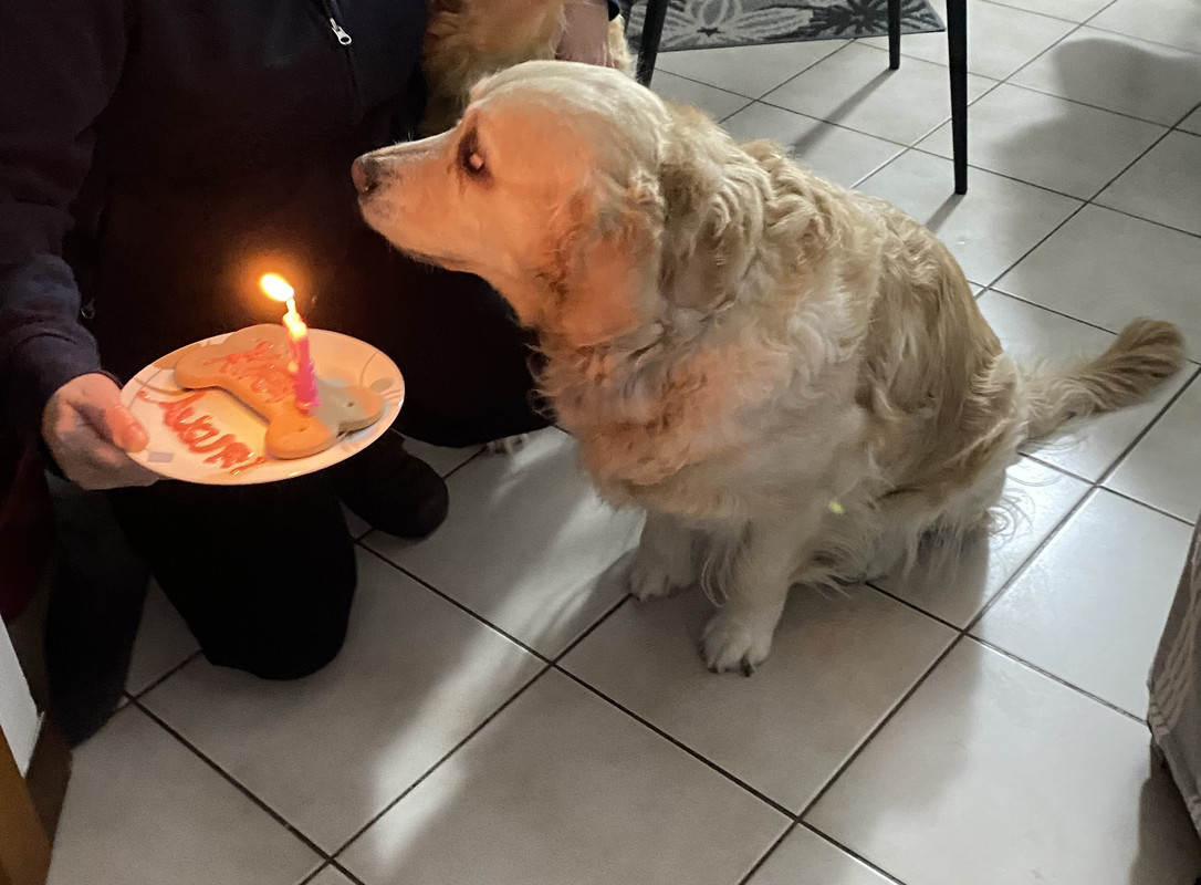 BE2D2A14-B04E-416D-9CCB-09BE53408302