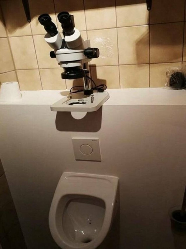 [Image: micro.jpg]