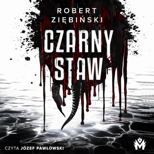 Robert Ziębiński - Cykl Czarny Staw Tom 01 Czarny Staw