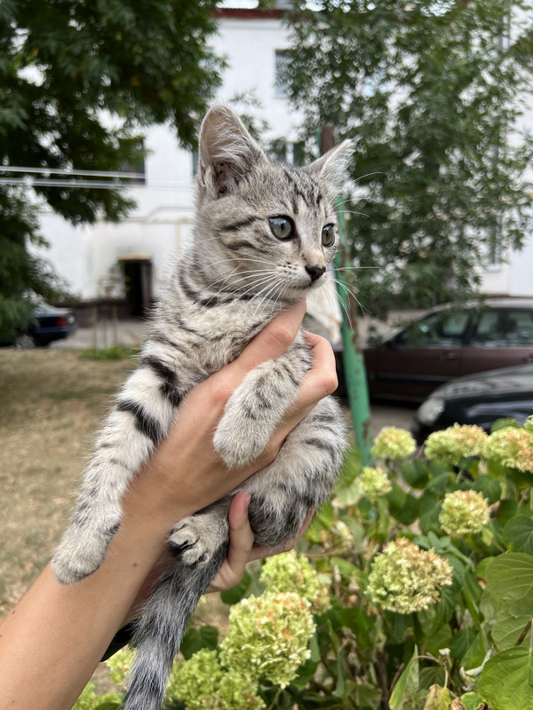 993DB63F-2B45-458F-9961-43EA3E6D977E