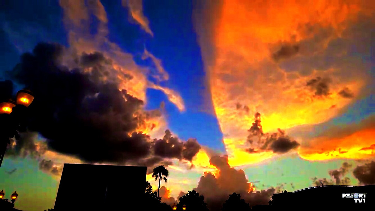 7FA039FF-6F29-483C-80DE-AC33E03A8DD7