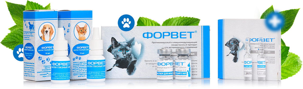 Форвет для кошек