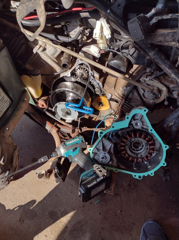 received_743381700163294