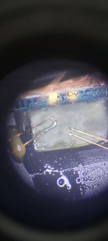 photo_2025-09-08_19-54-24